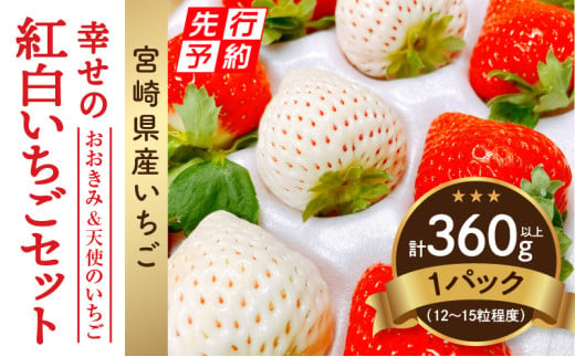 《2025年発送先行予約》【数量・期間限定】宮崎県産 幸せの紅白いちごセット（おおきみ&天使のいちご）1パック_M260-006 599090 - 宮崎県宮崎市