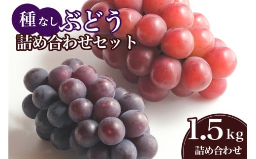 【 2025年 先行予約 】 種なし ぶどう 詰合せ 1.5kg 石田ぶどう園 2房 ～ 5房 詰め合わせ おまかせ お任せ ぶどう ブドウ 国産 果物 葡萄 種無し フルーツ 1.5キロ 9月 10月 発送 秋 旬 品種 茨城県産 産地直送 産直 農家直送 冷蔵 茨城県 石岡市 (A02-016) 1733524 - 茨城県石岡市