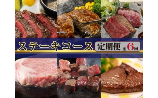 【ステーキ定期便】百名店ステーキコース 全6回（牛肉 黒毛和牛 ヒレ モモ サーロイン ロース ハンバーグ 赤身 希少部位 定期便）