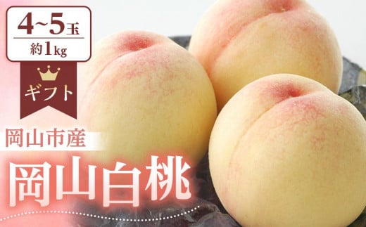 桃 2025年 先行予約 岡山 白桃 約1.0kg（4～5玉） もも モモ 岡山市産 国産 フルーツ 果物 ギフト 776213 - 岡山県岡山市