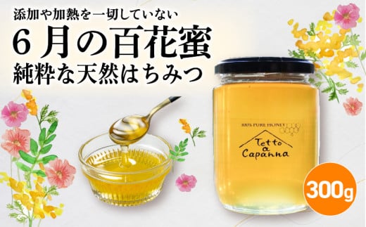 6月の百花蜜 300g ハチミツ 蜂蜜 はちみつ ハニー honey 純粋はちみつ 国産 非加熱 無添加 百花蜜 甘い 京都府