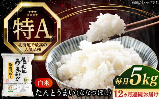 【全12回定期便】【令和6年産】たんとう米（ななつぼし）5kg《厚真町》【とまこまい広域農業協同組合】 米 お米 白米 ご飯 ななつぼし 北海道 定期便[AXAB020] 226511 - 北海道厚真町