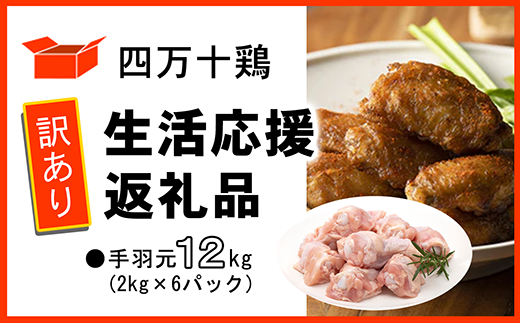 【訳あり】四万十鶏 手羽元 12kg（生活応援返礼品） 1730313 - 高知県中土佐町