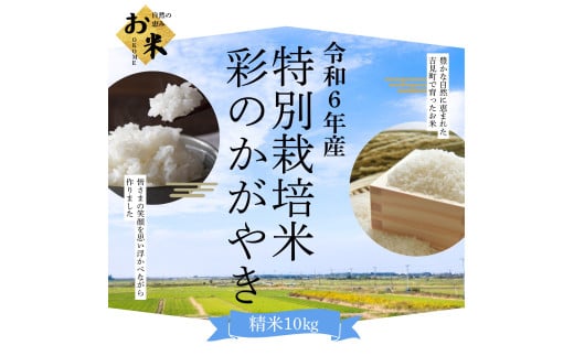 【令和６年産】埼玉県比企郡吉見町産 特別栽培米彩のかがやき 【精米】 10㎏ 1801360 - 埼玉県吉見町