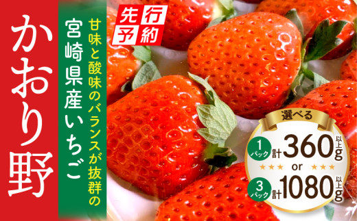 [2025年発送先行予約][選べる内容量][期間・数量限定]宮崎県産いちご「かおり野」_M260-013-SKU