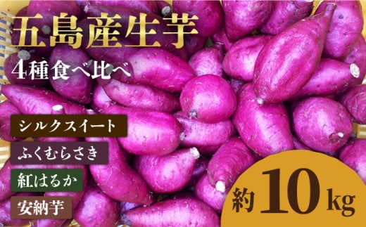 【2025年1月先行予約】五島産生芋10kg 安納芋 シルクスイート 紅はるか ふくむらさき いも 五島市/芋蔵林 [PDO008] 565560 - 長崎県五島市