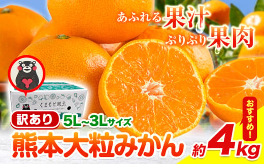 【新登場！】訳あり 熊本 大粒みかん 約4kg (3L～5Lサイズ) みかん 先行予約 ご家庭用 たっぷり 熊本県産 熊本県 期間限定 フルーツ 旬 柑橘 大玉《2025年1月中旬-2月末頃より出荷予定》 1839503 - 熊本県玉東町