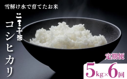 [定期便]令和6年産 コシヒカリ 5kg×6ヶ月 30kg 数量限定 特別栽培米 二王子米 新潟産 新潟米 新発田産 新発田 お米 米 kome 白米 ご飯 こめ ごはん ライス ふるさと納税米 コシヒカリ お弁当 食品 せいだ とんとん市場 ブランド米 人気米 玄米 新潟県 新発田市 seida007