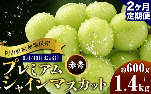 ぶどう 岡山県船穂地区産 プレミアム シャインマスカット 晴王 赤秀 600g 700g 1.2kg 1.4kg 1房 2房 2ヶ月定期便 彩美菜果《2026年9月上旬-10月末頃出荷》 マスカット 岡山県 浅口市 フルーツ 果物 贈り物 国産 くだもの 【配送不可地域あり】