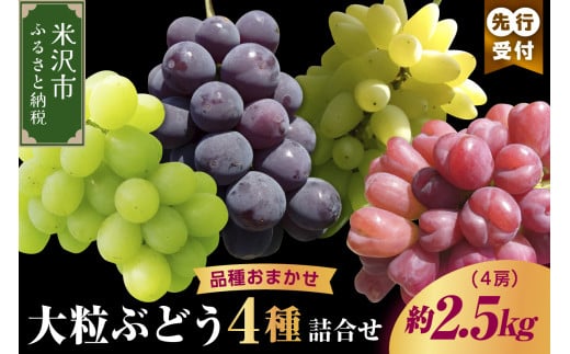 《 先行予約 数量限定 》 【 令和7年産 】 大粒 ぶどう 詰合せ 4種類 約 2.5kg 4房 ( 品種おまかせ ) 〔 9月中旬 ～ 下旬頃お届け 〕 2025年産 農家直送 産地直送 1320506 - 山形県米沢市