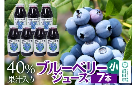 40％果汁入り ブルーベリージュース 180ml×7本セット 1733534 - 群馬県沼田市