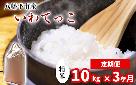 【令和7年産】 新米 11月中旬発送開始予定 いわてっこ 精米 10kg （5kg×2袋） ×3ヶ月定期便 ／ 中沢農産 こめ 米 コメ お米 おこめ ご飯 ごはん 白米 白飯 おにぎり お弁当 仕送り お取り寄せ 産地直送 農家直送 単一原料米 国産 国産米 東北 岩手県産 八幡平市産 おすすめ 定期 定期便
