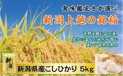 食味鑑定士厳選　新潟県上越市産コシヒカリ　無洗米 5kg 精米 米 お米 1727416 - 新潟県上越市