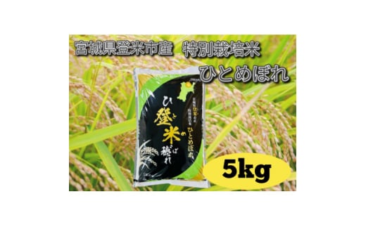 ＜令和6年産＞宮城県登米市産　特別栽培米ひとめぼれ 5kg【1557597】 1744651 - 宮城県宮城県庁