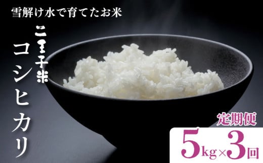 [定期便]令和6年産 コシヒカリ 5kg×3ヶ月 15kg 数量限定 特別栽培米 二王子米 新潟産 新潟米 新発田産 新発田 お米 米 kome 白米 ご飯 こめ ごはん ライス ふるさと納税米 コシヒカリ お弁当 食品 せいだ とんとん市場 ブランド米 人気米 玄米 新潟県 新発田市 seida005