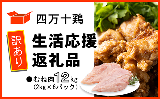 【訳あり】四万十鶏 むね肉 12kg （生活応援返礼品）  1730309 - 高知県中土佐町