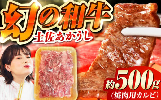 土佐あかうし 焼き肉用カルビ 約500g /和牛 国産和牛 高知県産 高知市 焼肉【株式会社Dorago】 [ATAM041] 1553574 - 高知県高知市