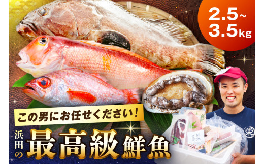 どんちっち浜田【輝き】鮮魚～最高級この男シリーズ～【006_2015】