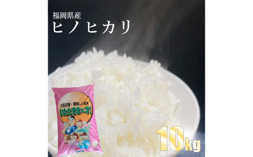 【柳川のお米】 令和6年産 ヒノヒカリ 10kg と 麦茶 16P セット 白米 お茶 パック 1723315 - 福岡県柳川市