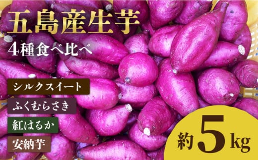 【2025年1月先行予約】五島産生芋5kg 安納芋 シルクスイート 紅はるか ふくむらさき 五島市/芋蔵林 [PDO007] 565559 - 長崎県五島市