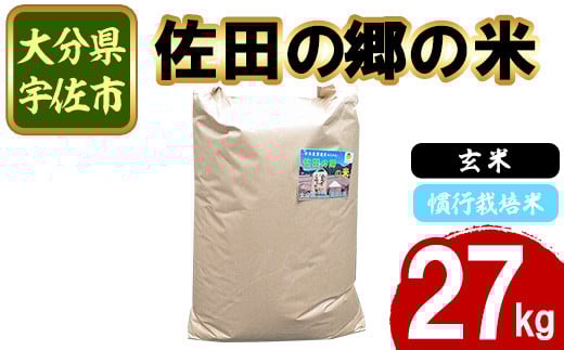 ＜新米・令和7年産＞佐田の郷の米 玄米 慣行栽培米(27kg)お米 玄米 ごはん ヒノヒカリ ひのひかり ブランド米 常温 常温保存【111700903】【雅設置プロジェクト　佐田の郷の会】 2349792 - 大分県宇佐市
