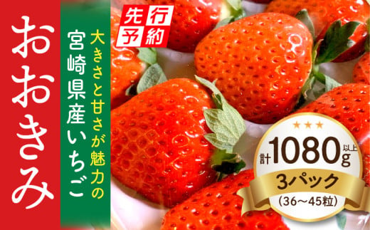 《2025年発送先行予約》【数量・期間限定】宮崎県産いちご「おおきみ」3パック（計1080g以上：36粒～45粒）_M260-011 1090942 - 宮崎県宮崎市