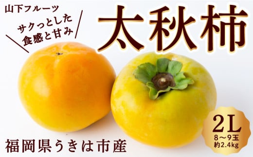 【2025年 令和7年 先行予約】太秋柿 8玉から9玉 2L (約2.4kg) たいしゅう かき カキ 甘柿 果物 くだもの フルーツ 秋の味覚 【山下フルーツ】 2025年10月上旬から10月中旬 出荷予定