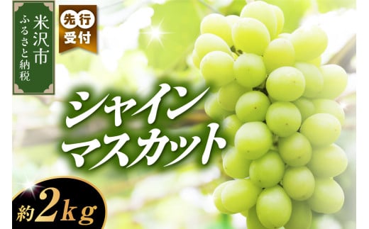 《 数量限定 》 【 令和7年産 】 シャインマスカット 2kg 3 ～ 4房 ぶどう〔  9月中旬 ～ 下旬頃からお届け 〕 2025年産 農家直送 産地直送  1319943 - 山形県米沢市