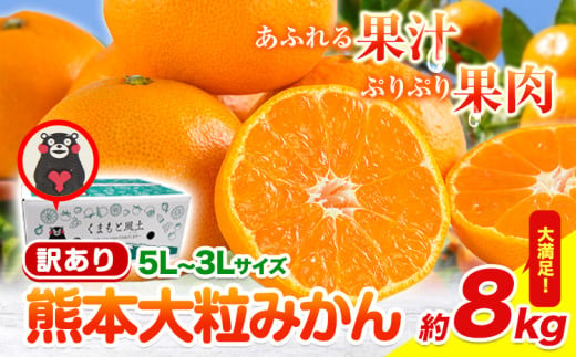 【新登場！】訳あり 熊本 大粒みかん 約8kg (3L～5Lサイズ) みかん 先行予約 ご家庭用 たっぷり 熊本県産 熊本県 期間限定 フルーツ 旬 柑橘 大玉《2025年1月中旬-2月末頃より出荷予定》 1839504 - 熊本県玉東町