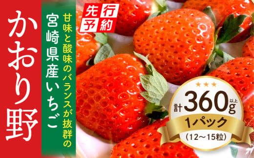 《2025年発送先行予約》【期間・数量限定】宮崎県産いちご「かおり野」1パック（計360g以上：12粒～15粒）_M260-013 1090944 - 宮崎県宮崎市