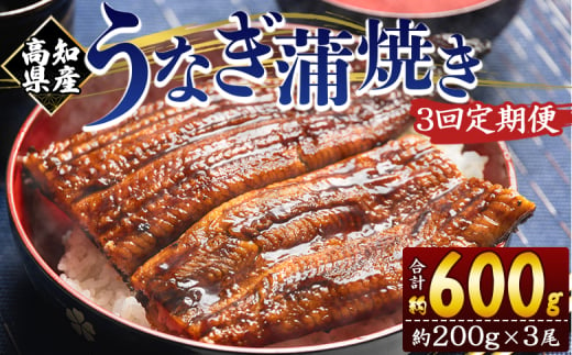 定期便 うなぎ 蒲焼き 約200g 3尾 3回 高知県産 養殖 魚介 国産 海鮮 魚 かばやき 鰻 ウナギ 惣菜 おかず お手軽 加工品 加工食品 冷凍 Wfb-0054 1738284 - 高知県香南市