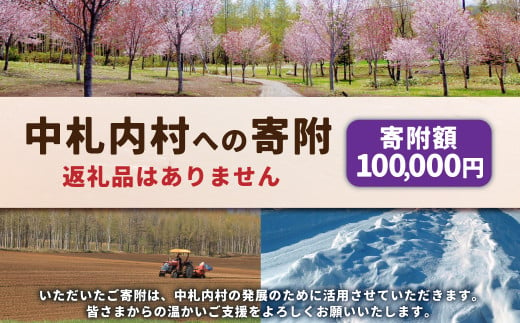 中札内村への寄附（返礼品はありません） 1口 100,000円 10万円 北海道 中札内村 寄附のみ 寄附 [038-0020] 1723286 - 北海道中札内村