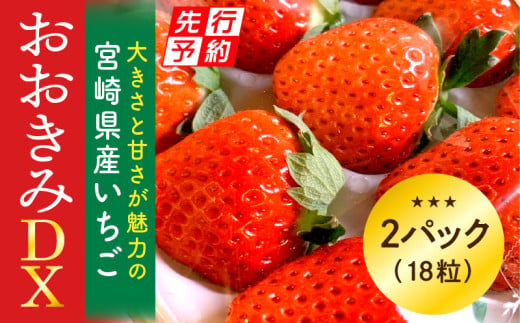 《2025年発送先行予約》【数量・期間限定】宮崎県産いちご「おおきみDX」2パック（18粒）_M260-005 581107 - 宮崎県宮崎市