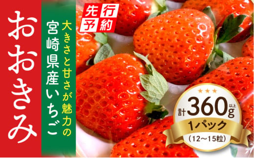 《2025年発送先行予約》【数量・期間限定】宮崎県産いちご「おおきみ」1パック(計360g以上：12粒～15粒)_M260-001 581074 - 宮崎県宮崎市