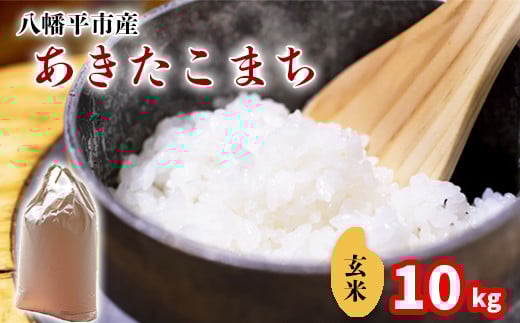 【令和7年産】 新米 11月中旬発送開始予定 あきたこまち 玄米 10kg （5kg×2袋） ／ 中沢農産 こめ 米 コメ お米 おこめ ご飯 ごはん げんまい おにぎり お弁当 仕送り お取り寄せ 産地直送 農家直送 単一原料米 国産 国産米 東北 岩手県産 八幡平市産 おすすめ