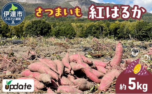 [№5525-1148]北海道 伊達 さつまいも 紅はるか 5kg 熟成 高糖度 サツマイモ 芋 甘い スイートヤバ芋 産地直送 1592947 - 北海道伊達市