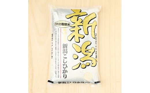 新潟県上越市のふるさと納税 特別栽培米こしひかり 白米 10kg（5kg×2）　お米 特別栽培米 精米 白米 米 こしひかり コシヒカリ 10キロ 特A ご飯 ごはん おにぎり 新潟産 上越産 新潟県 上越市