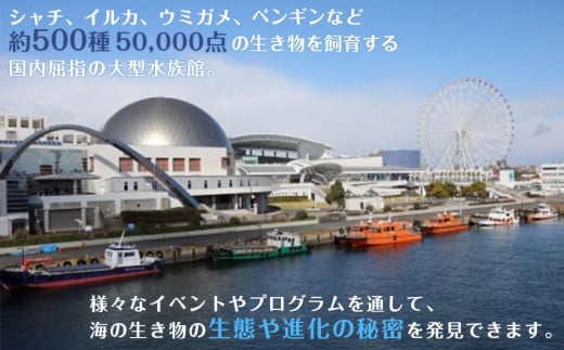 名古屋港水族館（年間パスポート引換券） - 愛知県名古屋市｜ふるさとチョイス - ふるさと納税サイト