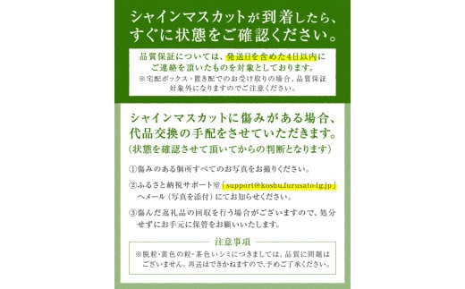 山梨県甲州市のふるさと納税 甲州屋厳選 シャインマスカット 約1.1kg 2～3房【2025年発送】B-116 【シャインマスカット 葡萄 ぶどう ブドウ 令和7年発送 期間限定 山梨県産 甲州市 フルーツ 果物】