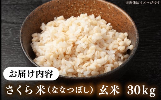 玄米】【令和6年産】【特A】 一等米 さくら米（ななつぼし）30kg《厚真町》【とまこまい広域農業協同組合】 米 お米 玄米 ご飯 ななつぼし 一等米  特A 北海道 [AXAB036] 50000 50000円 - 北海道厚真町｜ふるさとチョイス - ふるさと納税サイト