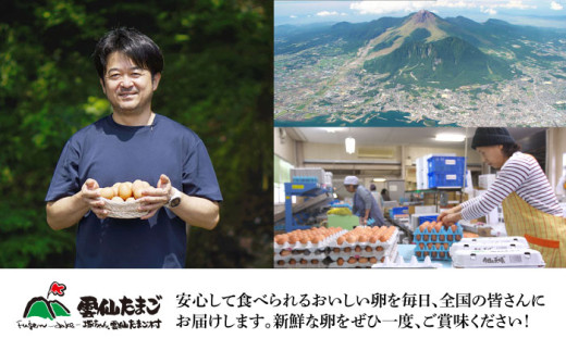長崎県産 島原市 たまご 卵 玉子 タマゴ 鶏卵 オムレツ 卵かけご飯 朝食 料理 人気 卵焼き 定期便 6ヶ月 6か月