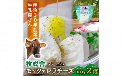 ＜牧成舎＞飛騨の牛乳屋さんが作った こだわりの フレッシュモッツァレラチーズ（100g×2個）| チーズ 国産 乳製品 牛乳 低温殺菌 おいしい ナチュラルチーズ モッツァレラ  (有)牧成舎 DF036 1738425 - 岐阜県高山市