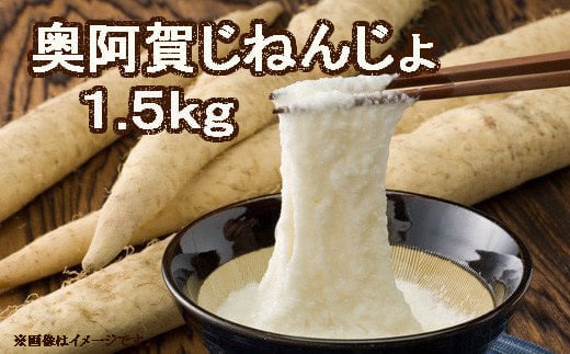 奥阿賀じねんじょ　1.5kg 1738348 - 新潟県阿賀町