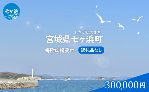 七ヶ浜町 返礼品なし 応援寄附【300,000円】| 7h-hn-300000 1941365 - 宮城県七ヶ浜町