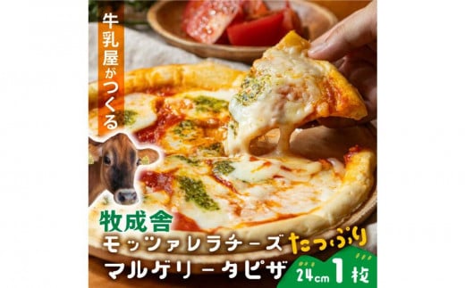 ＜牧成舎＞飛騨の牛乳屋さんが作った こだわりの モッツァレラたっぷりマルゲリータピザ（24cm×1枚） | ピザ チーズ 手造り おいしい 電子レンジOK 簡単調理 パーティ 飛騨高山 (有)牧成舎 DF039 1738428 - 岐阜県高山市
