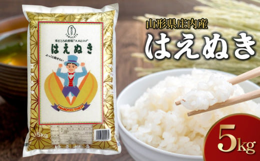 [令和6年産]はえぬき 精米 5kg 山形県 庄内産 米食味鑑定士お薦め [発送時期が選べる!]