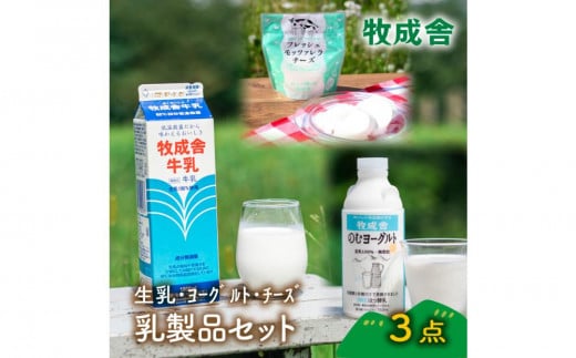 ＜牧成舎＞飛騨の牛乳屋さんが作った こだわりの乳製品お試しセット（牛乳1L×1本・のむヨーグルト750ml×1本・モッツァレラチーズ100g×1個）| 低温殺菌 無添加 牛乳 ヨーグルト チーズ 乳製品 おいしい セット 飛騨高山 (有)牧成舎 DF042 1738431 - 岐阜県高山市