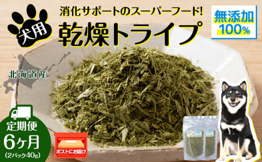 犬 おやつ 鹿肉 無添加 国産 乾燥グリーントライプ 40g (20g×2) 定期便6回 ペット 餌 エサ 浜頓別 北海道