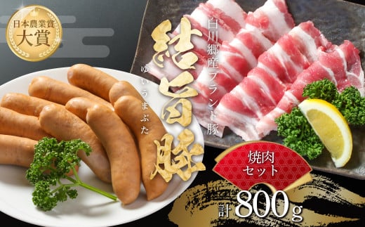 結旨豚 焼肉 セット バラ焼肉 500g ソーセージ 300g 計800g 冷凍真空パック | 肉 お肉 豚肉 国産 食べ比べ 白川郷 岐阜県 白川村 ブランド豚 人気 おすすめ ギフト 飛騨高山ミート 11000円 [MS023]