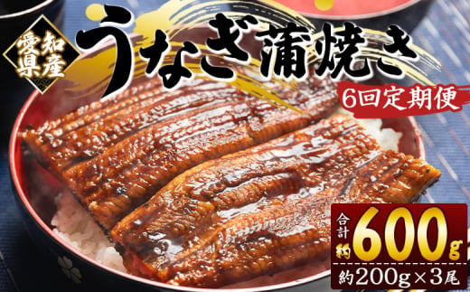 定期便 うなぎ 蒲焼き 約200g 3尾 6回 愛知県産 養殖 うなぎ 魚介 国産 海鮮 魚 かばやき 鰻 ウナギ 惣菜 おかず お手軽 加工品 加工食品 冷凍 Wfb-0079 1738796 - 高知県香南市